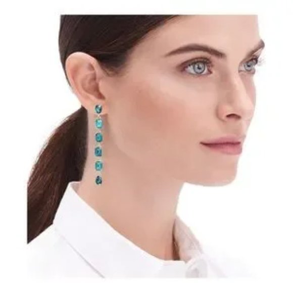 Crystal Drop Earrings - Picture 2 of 6